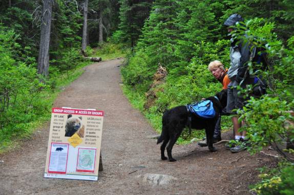 Pessoas esperam companheiros para poder completar o grupo e caminhar em área de ursos, na região de Lake Louise, em Alberta, no Canadá